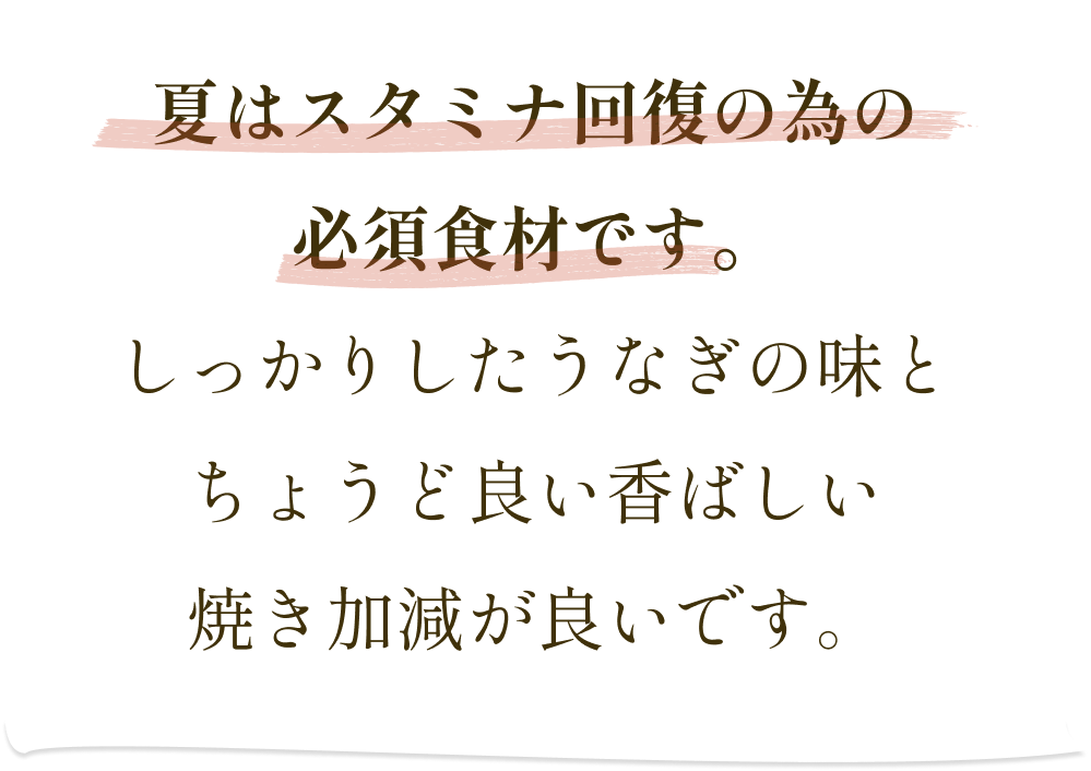 夏はスタミナ回復の為の必須食材です。しっかりしたうなぎの味とちょうど良い香ばしい焼き加減が良いです。
